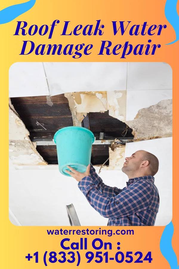 Roof Leak Water Damage Repair in Bryce, AZ